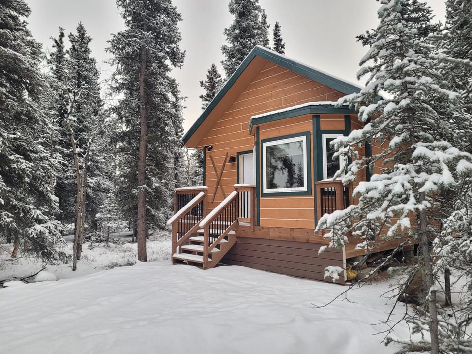 Denali Wild Stay - Muskrat cabin, private, free wifi, free parking, sleep 4 Cabin in Healy