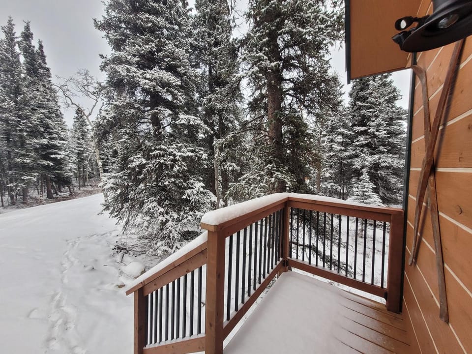 Denali Wild Stay - Muskrat cabin, private, free wifi, free parking, sleep 4 Cabin in Healy
