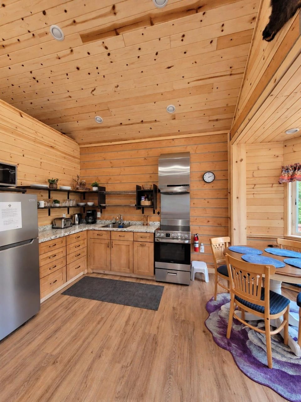 Denali Wild Stay - Muskrat cabin, private, free wifi, free parking, sleep 4 Cabin in Healy