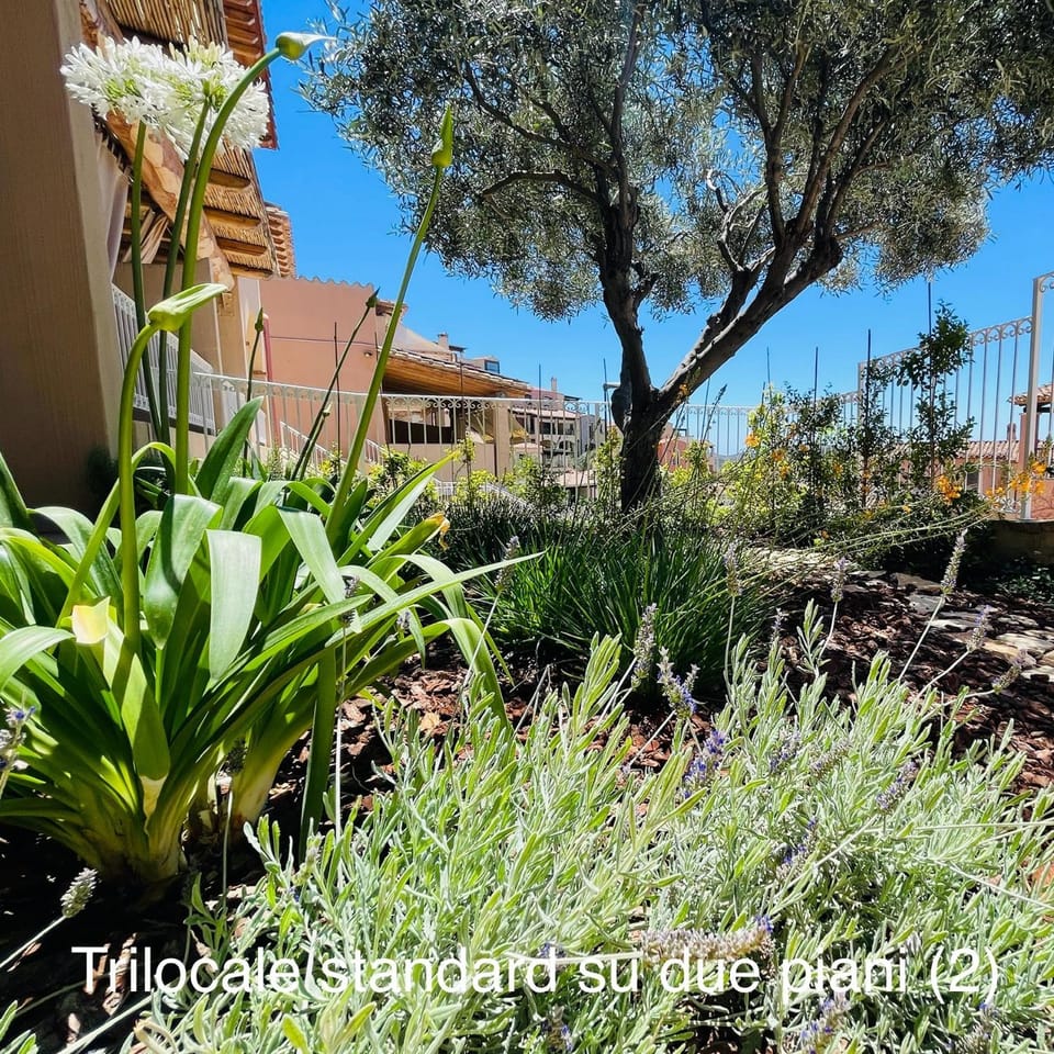 Spring, Garden, Garden view
