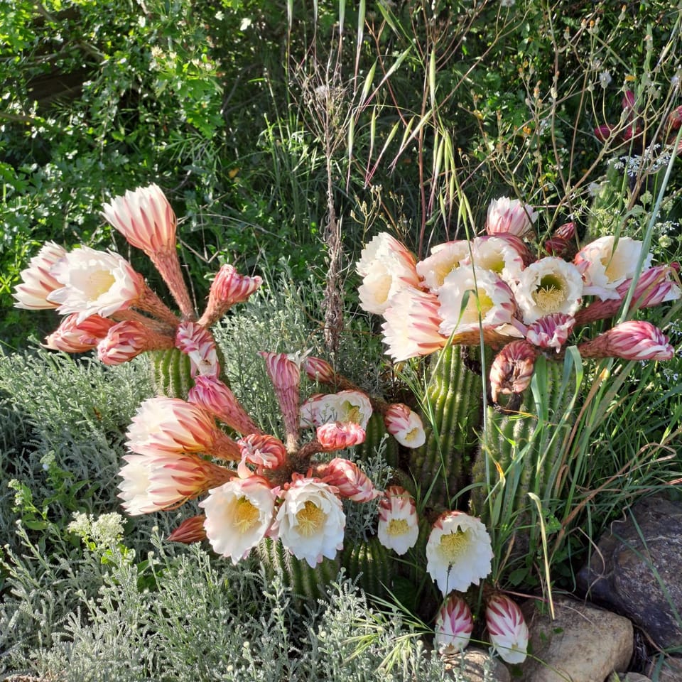 Agriturismo Pian Di Meta Vecchia Farm Stay in Tuscany