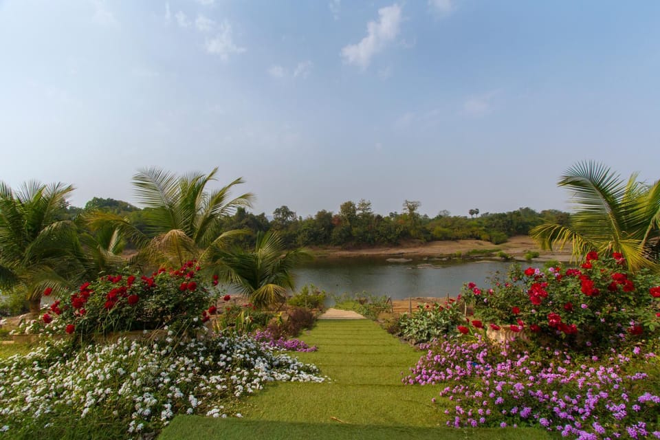 Lake view