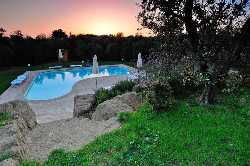 Summer, Garden, View (from property/room), Swimming pool, Swimming pool