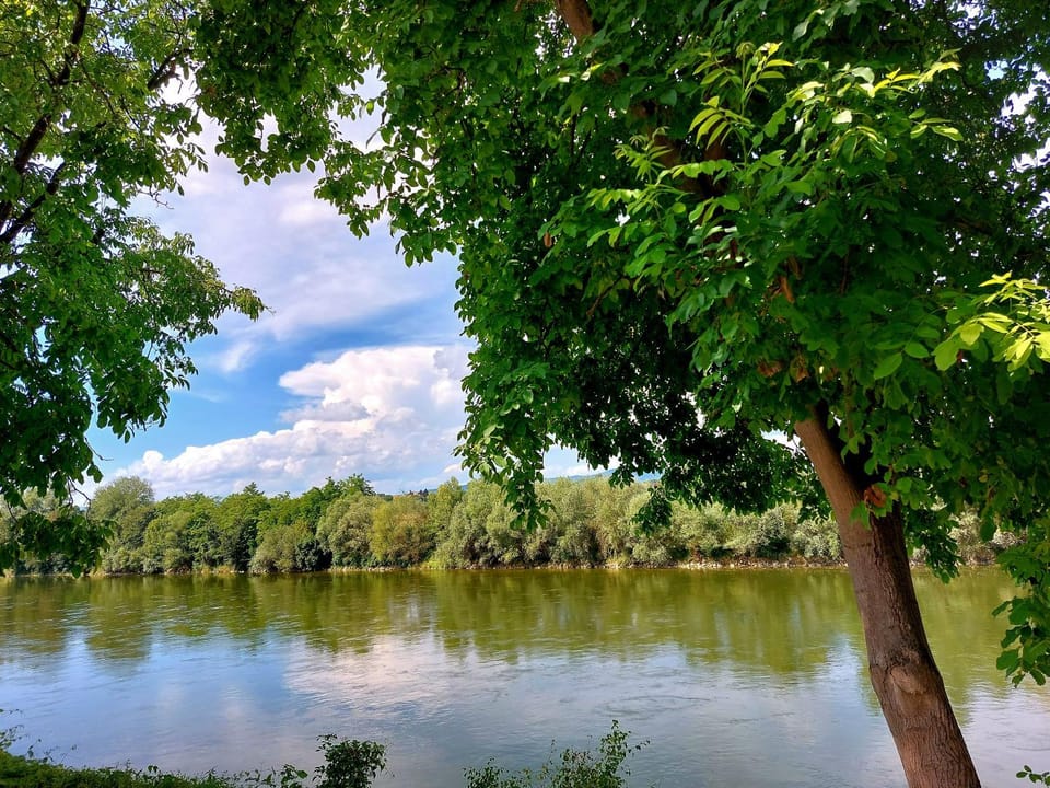 Natural landscape, Balcony/Terrace, River view