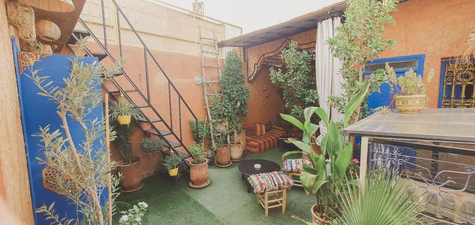 Patio, Garden, Balcony/Terrace