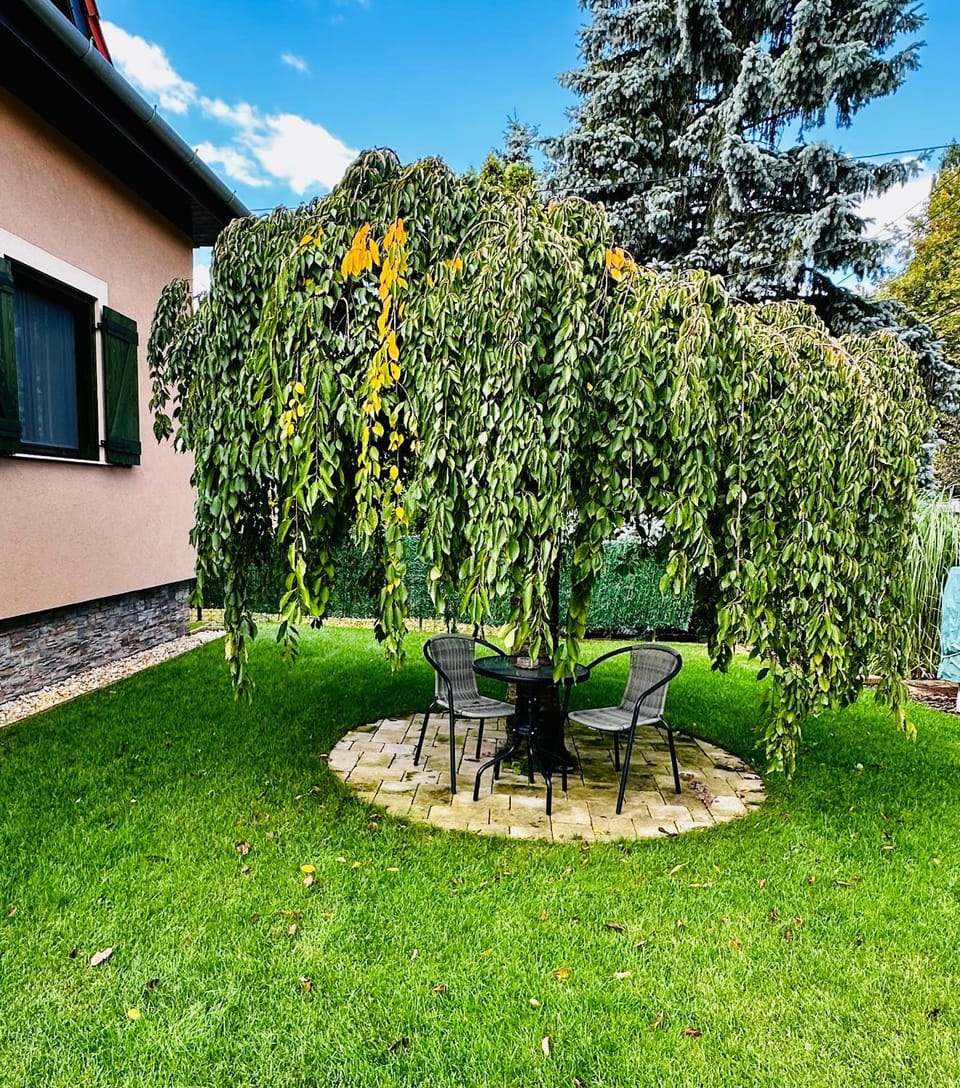 Garden, Garden view