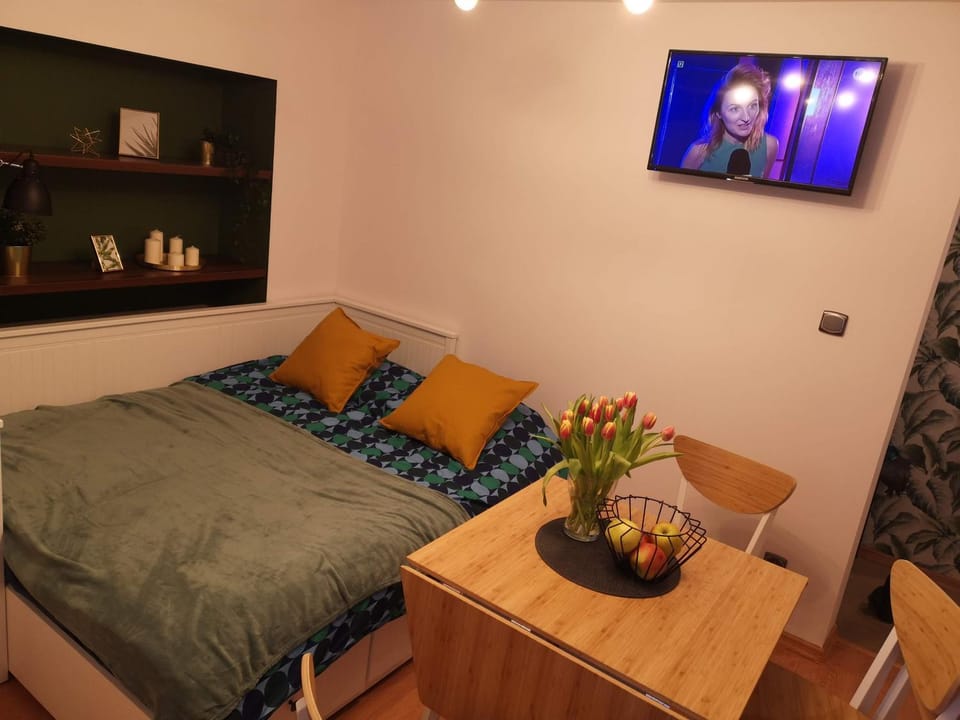 Apartament Zielony Zdrój Apartment in Lower Silesian Voivodeship