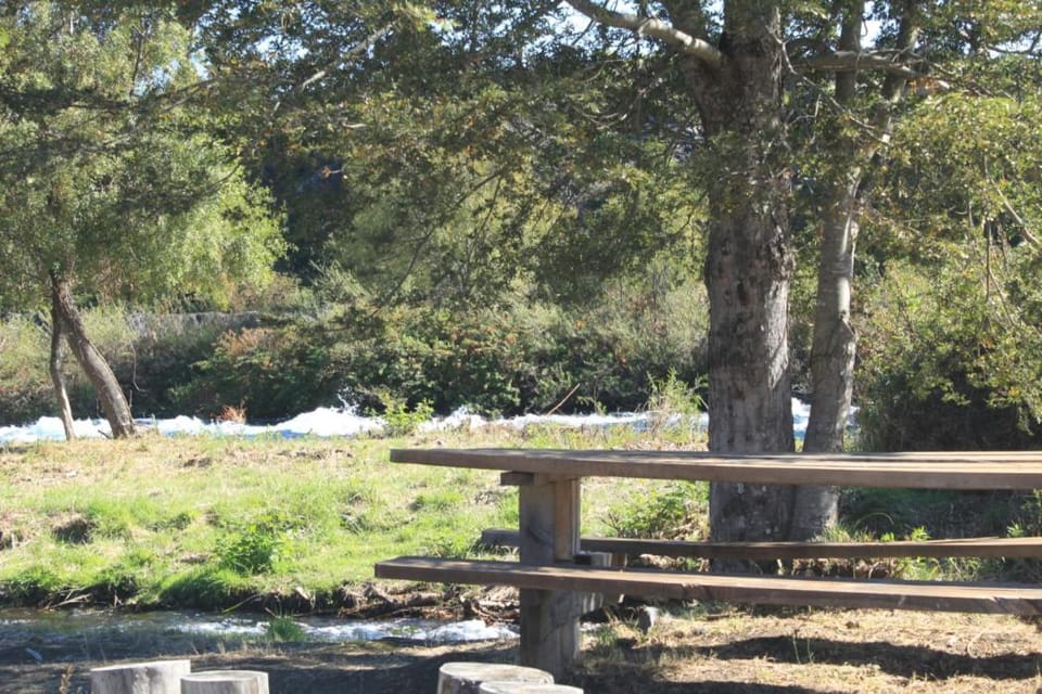 Natural landscape, Garden