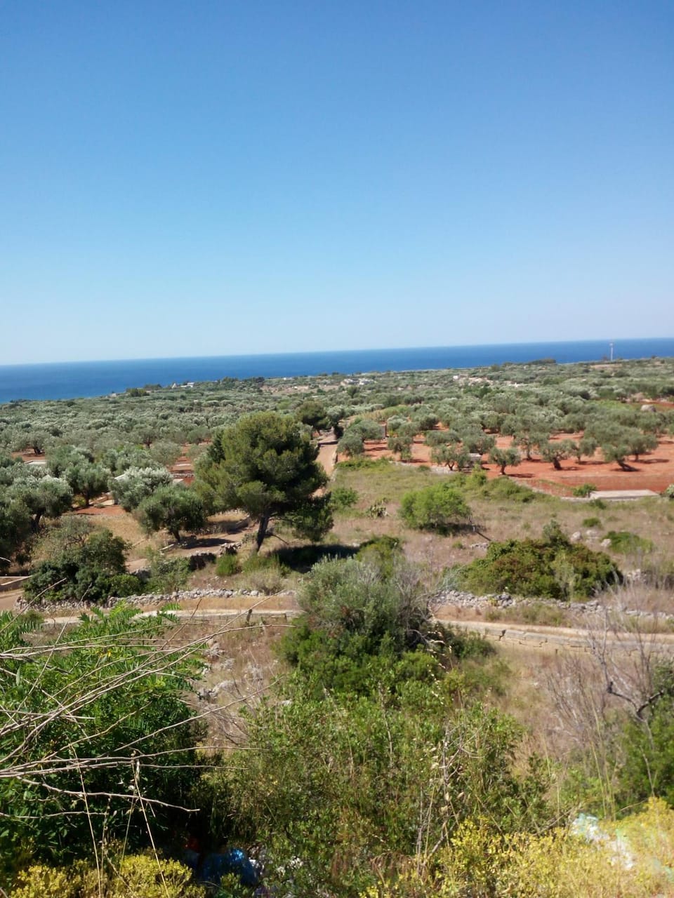 Natural landscape