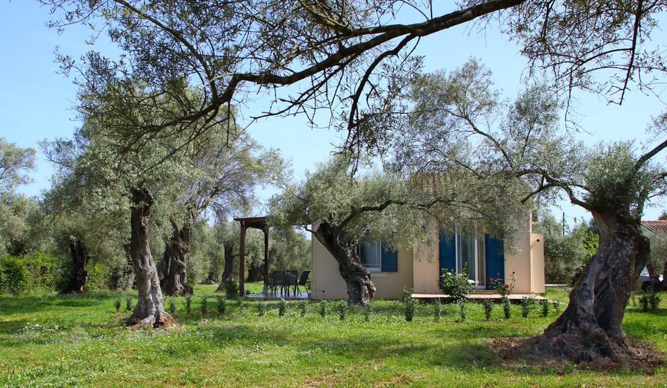 Property building, Garden