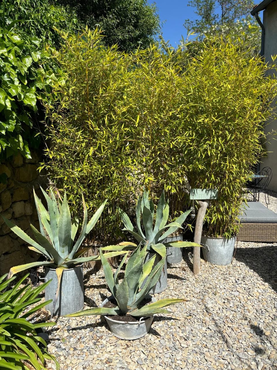 un petit coin de paradis avec piscine et parking Bed and Breakfast in Villeneuve-lès-Avignon