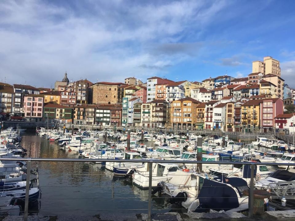 APARTAMENTOs URDAIBAI 1 Apartment in Bermeo