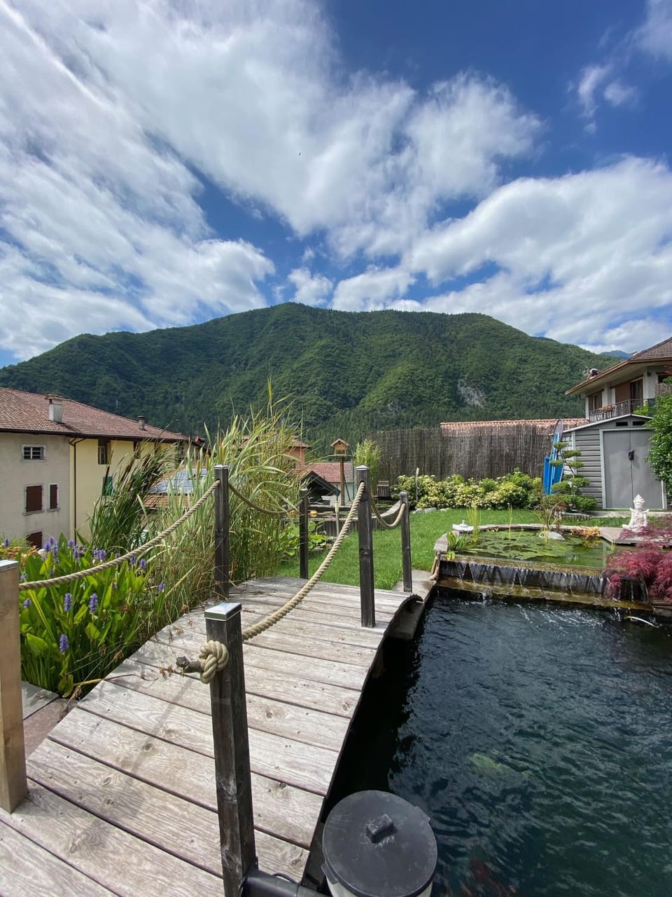 Garden, Garden view, Mountain view