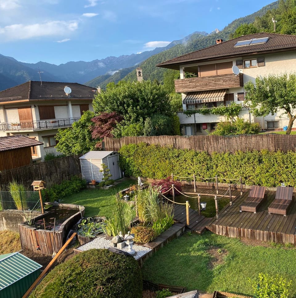 Garden, Garden view, Mountain view