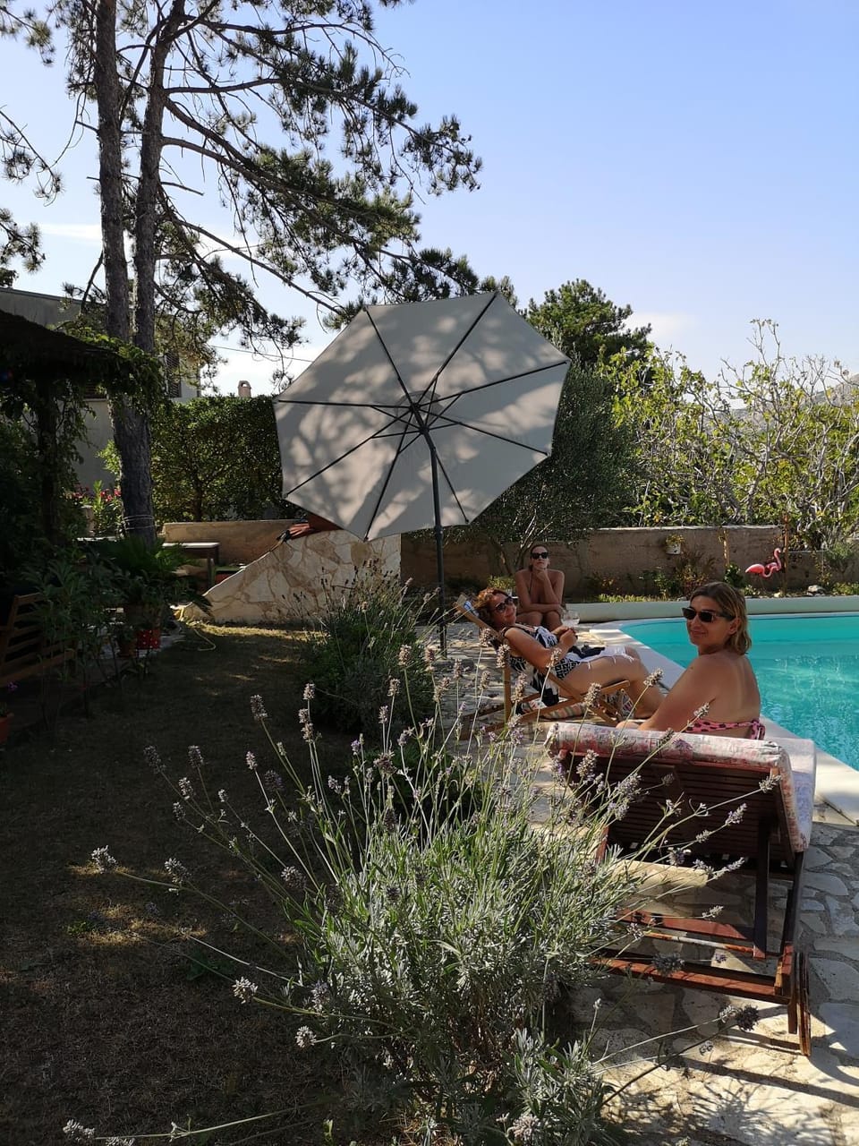Day, People, Natural landscape, Garden, Garden view, Pool view, Swimming pool, group of guests, sunbed