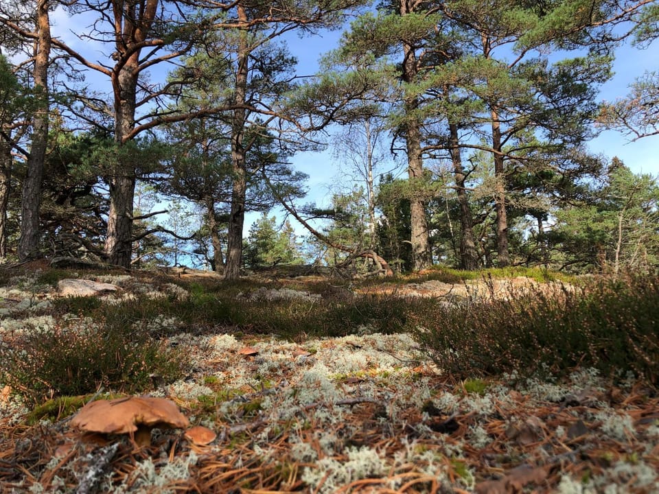 Mysig och modern Stuga på Snögård, nära havet och naturen House in Västra Götaland County
