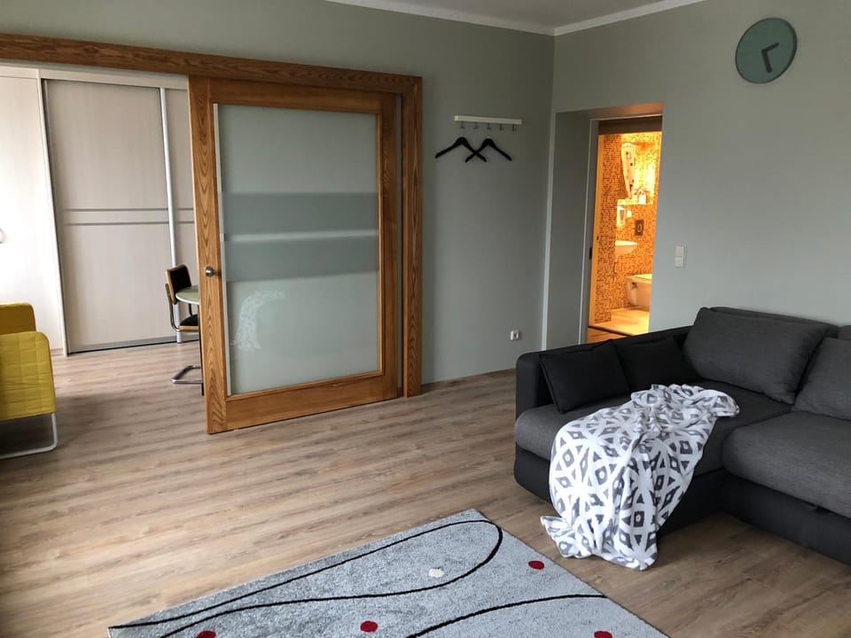 Family or Group Apartment in Green Center Apartment in Riga