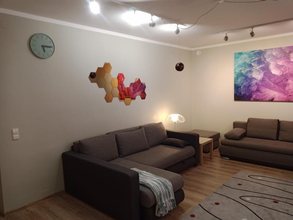 Family or Group Apartment in Green Center Apartment in Riga