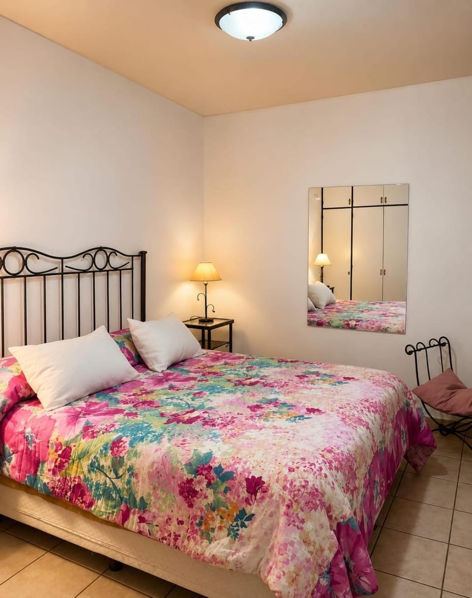 Peatonal y San Martin Apartment in Mendoza