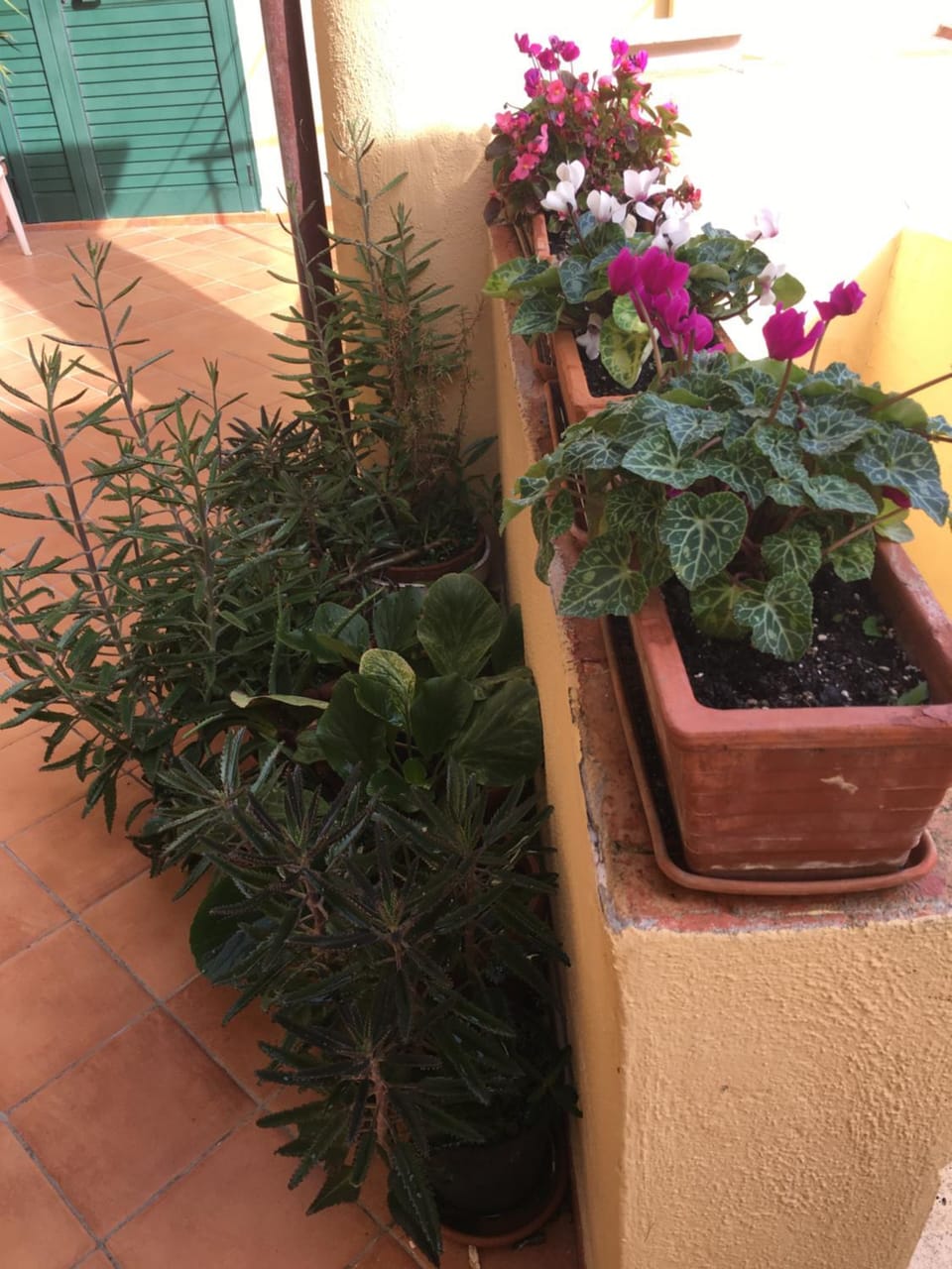 Balcony/Terrace
