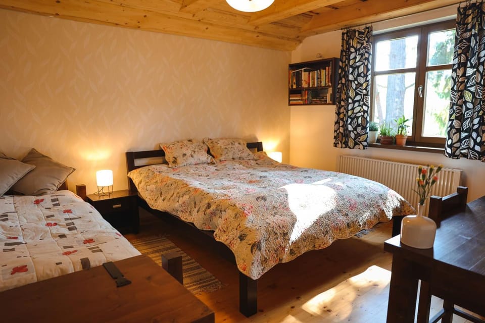 Bed, Library, Photo of the whole room, Bedroom