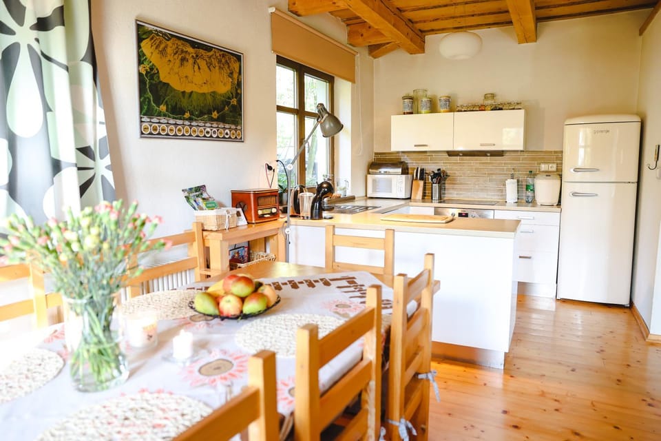 Kitchen or kitchenette, Food and drinks, Dining area, Communal kitchen, oven, stove