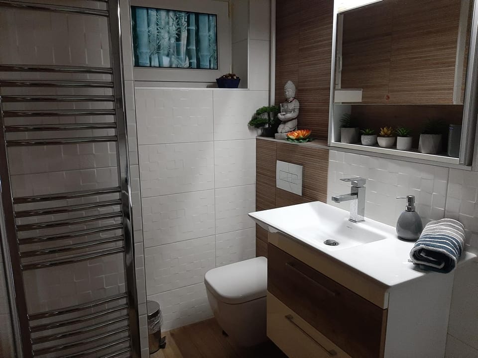 Toilet, Bathroom, towels