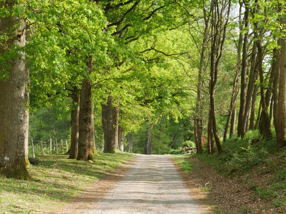 Spring, Natural landscape, Garden, On site