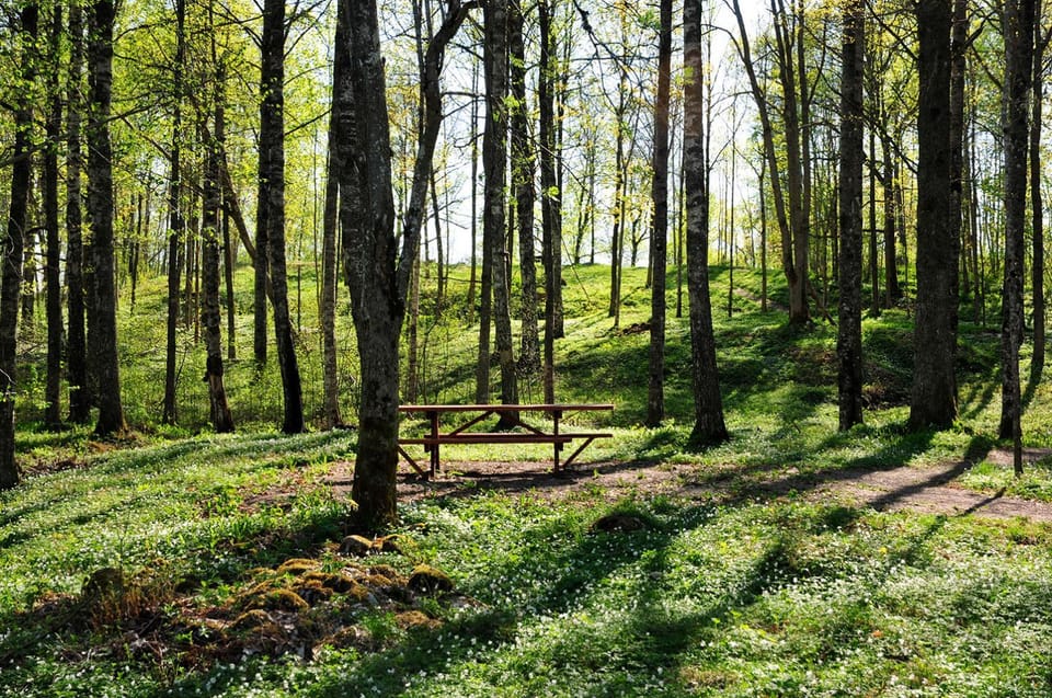Natural landscape