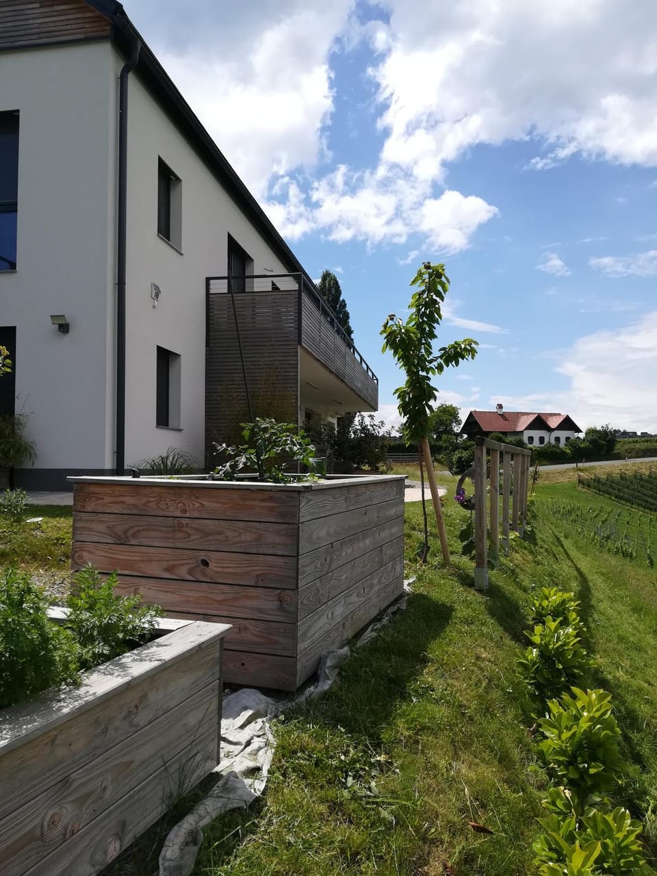 Garden view