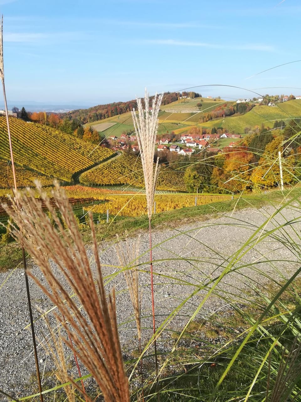 Natural landscape