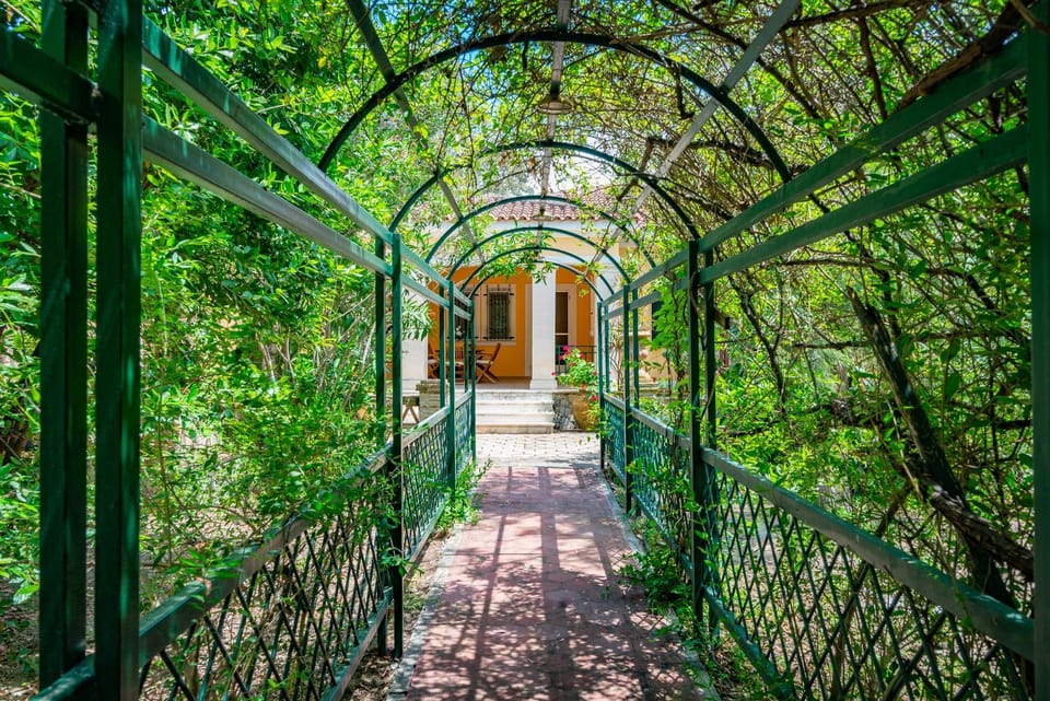 Natural landscape, Garden, Garden view