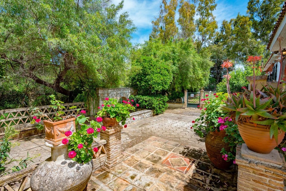 Day, Garden, Garden view