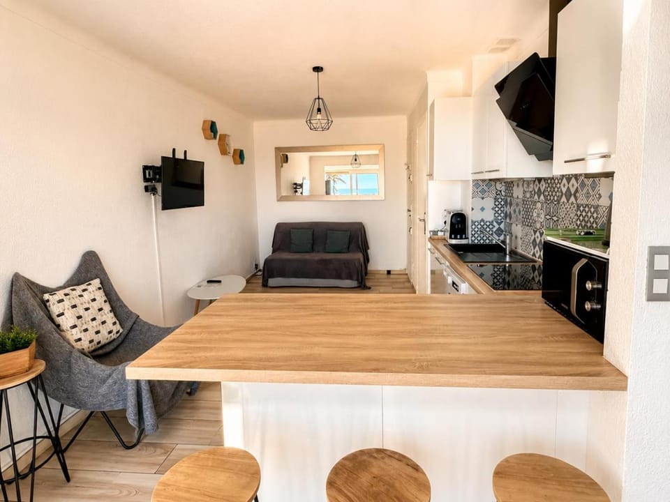 "PLAGE" Splendide Vue Mer depuis la chambre et le salon cuisine, 20m de la plage! Apartment in Canet-en-Roussillon