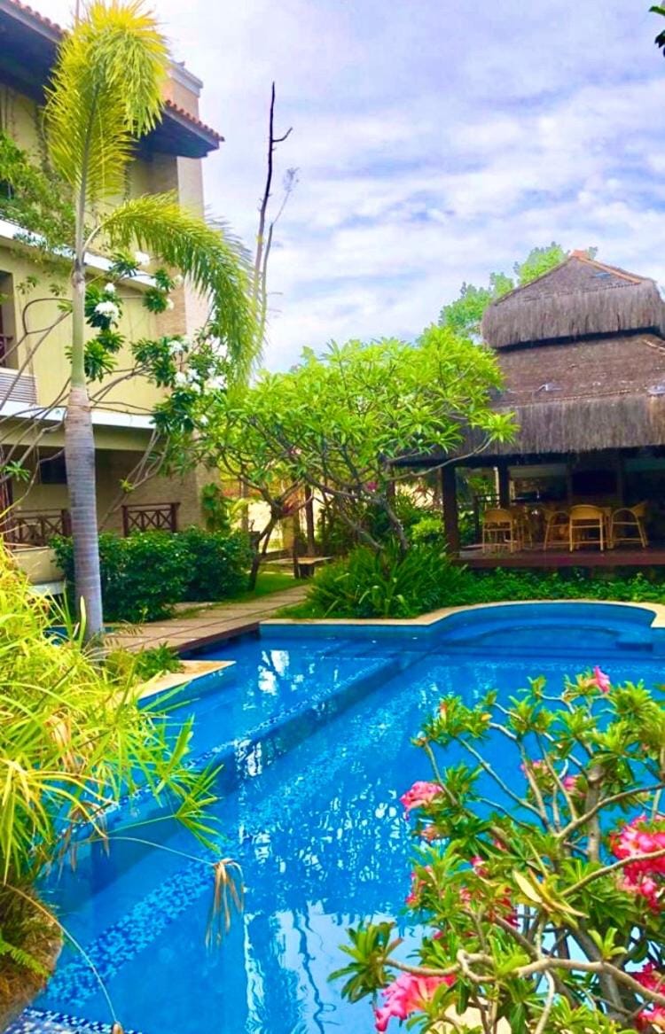 Property building, Day, Garden, Garden view, Pool view, Swimming pool