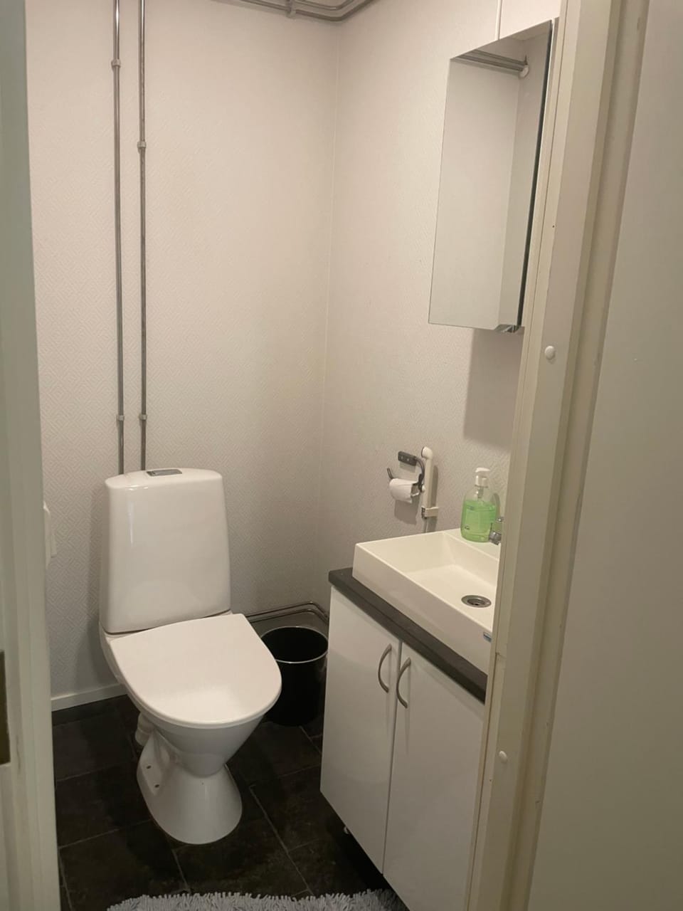 Tomujoen Kylätalo Apartment in Finland