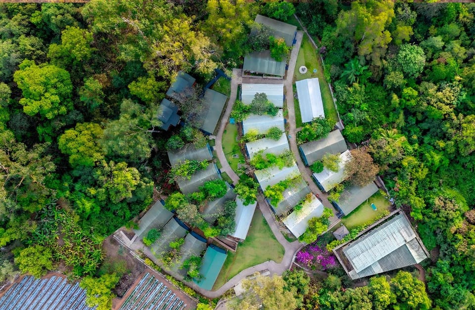 Property building, Day, Neighbourhood, Natural landscape, Bird's eye view, Garden, Garden view, Street view