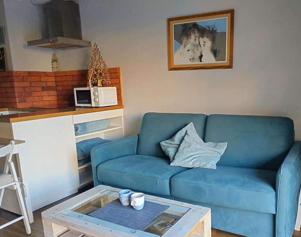Kitchen or kitchenette, Living room, Seating area, microwave, stove