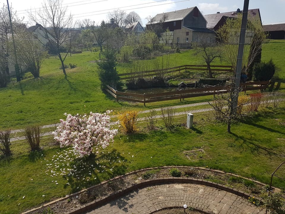 Spring, Garden, Garden, Garden view