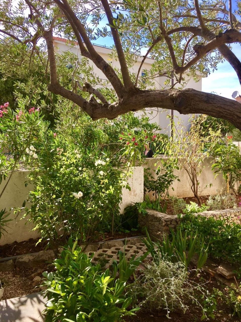 Patio, Garden, Garden view