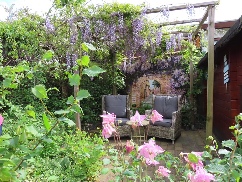 Day, Garden, Garden, Balcony/Terrace, Garden view