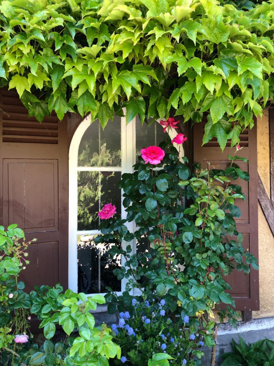 View (from property/room)