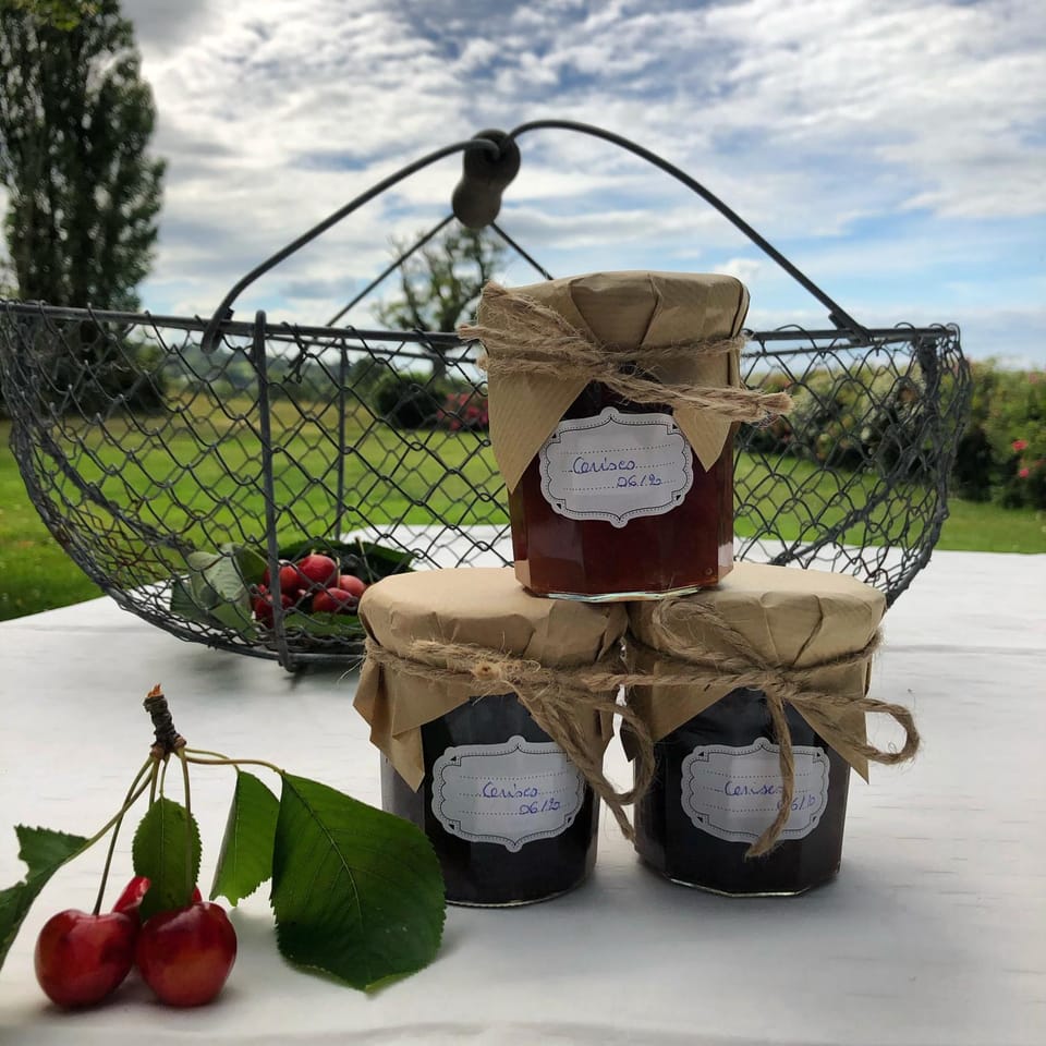 LES CHAMPS RABATS Bed and Breakfast in Blonville-sur-Mer