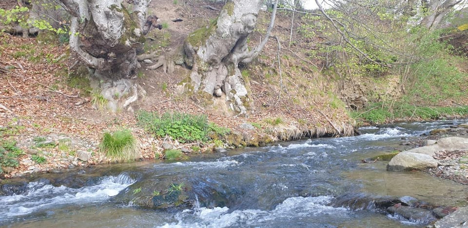 River view, Area and facilities