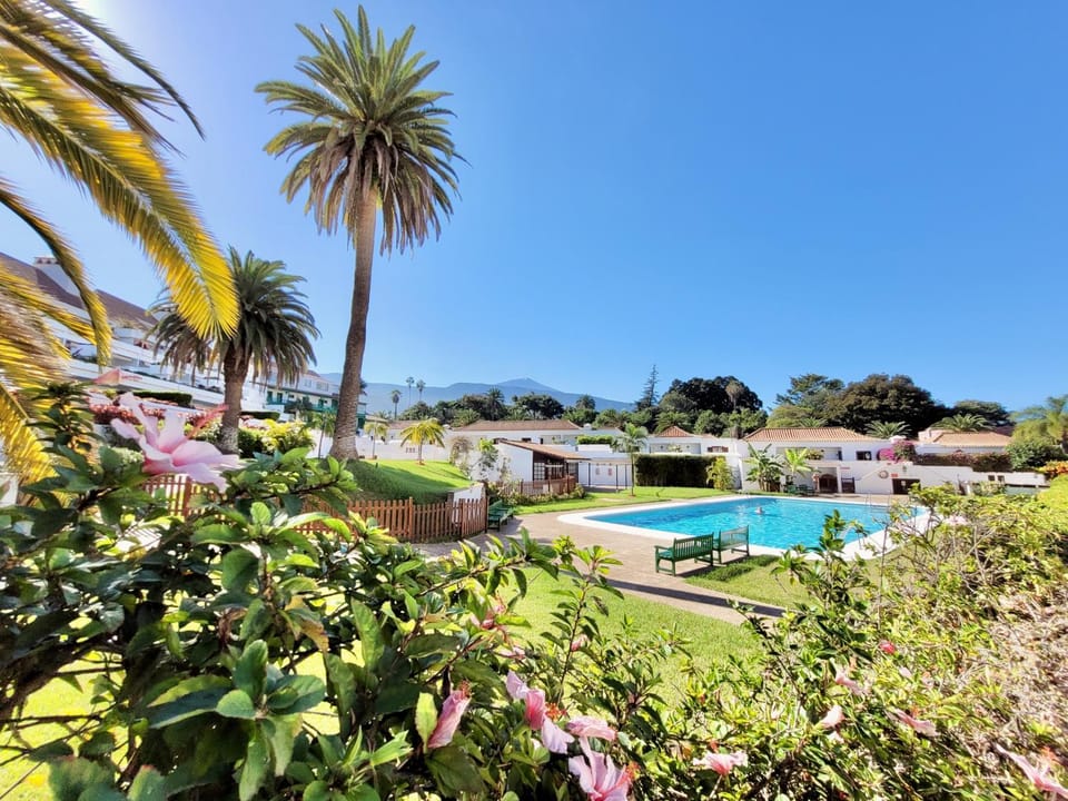 View (from property/room), Pool view, Swimming pool