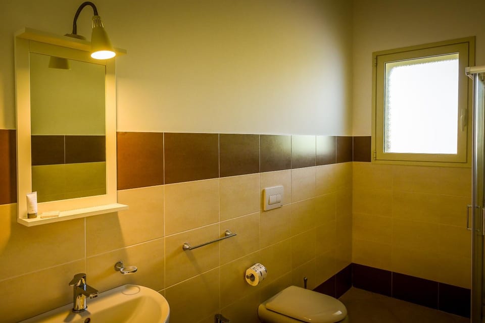 Shower, Toilet, Bathroom, bidet