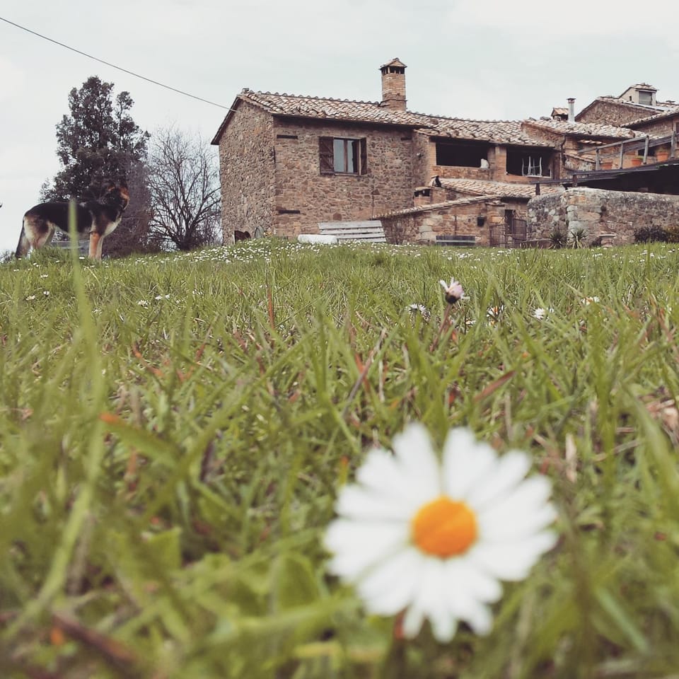 Garden, Garden
