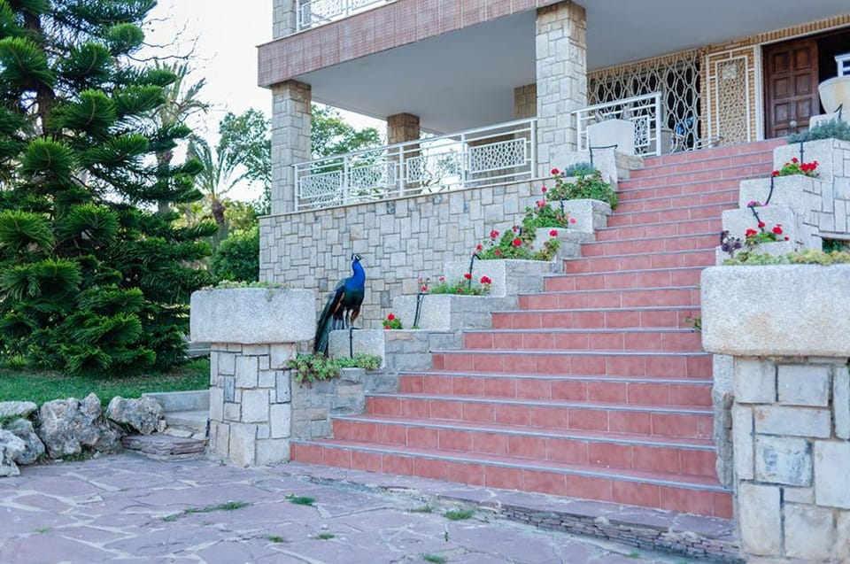 Villa Entrenaranjos House in Valencian Community