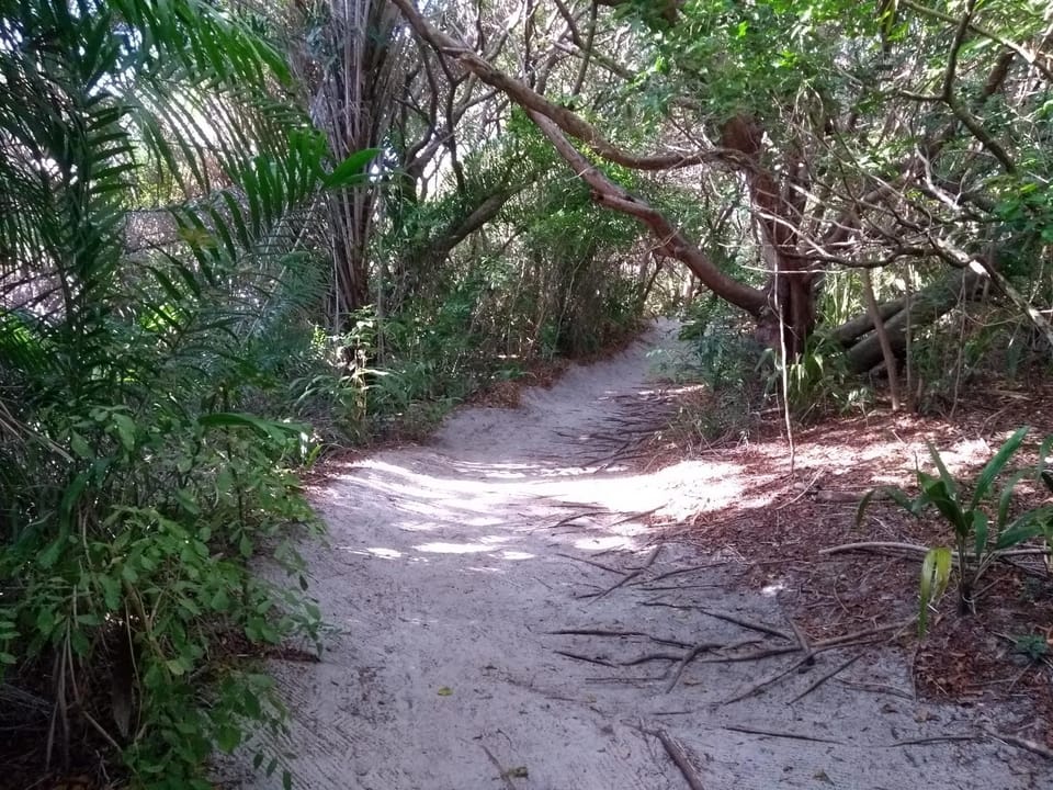 Natural landscape