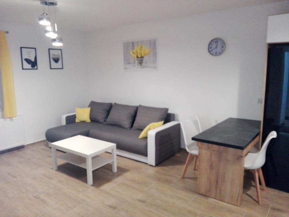 Apartament Marzenie 5 - Opole Apartment in Czechia